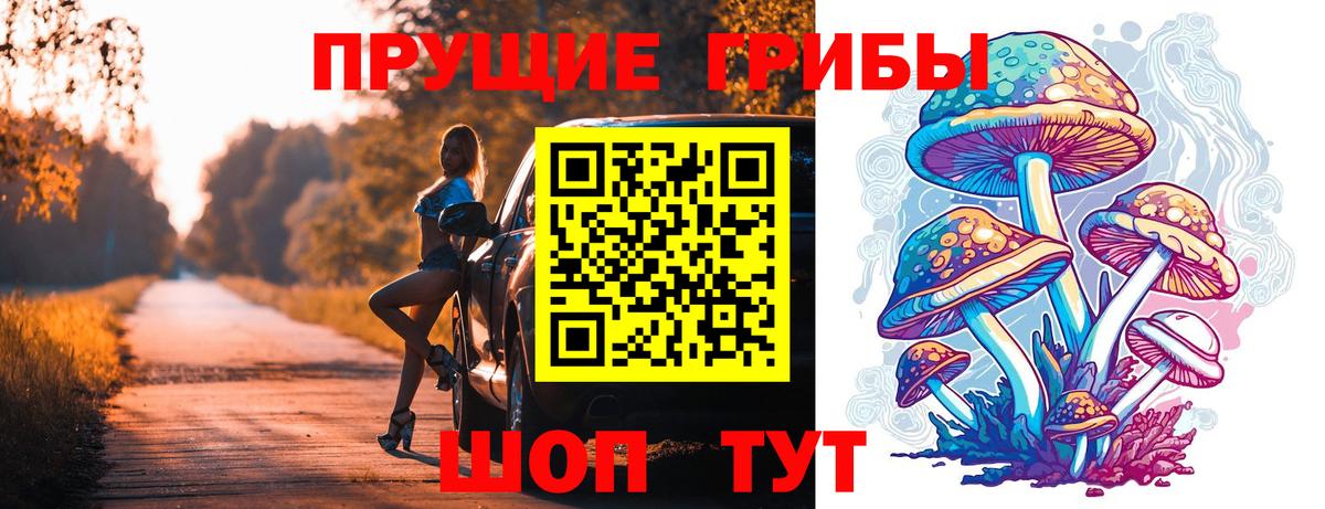 Ессентуки  Псилоцибиновые грибы MAGIC MUSHROOMS  Псилоцибиновые грибы Cubensis  Вход с VPN 