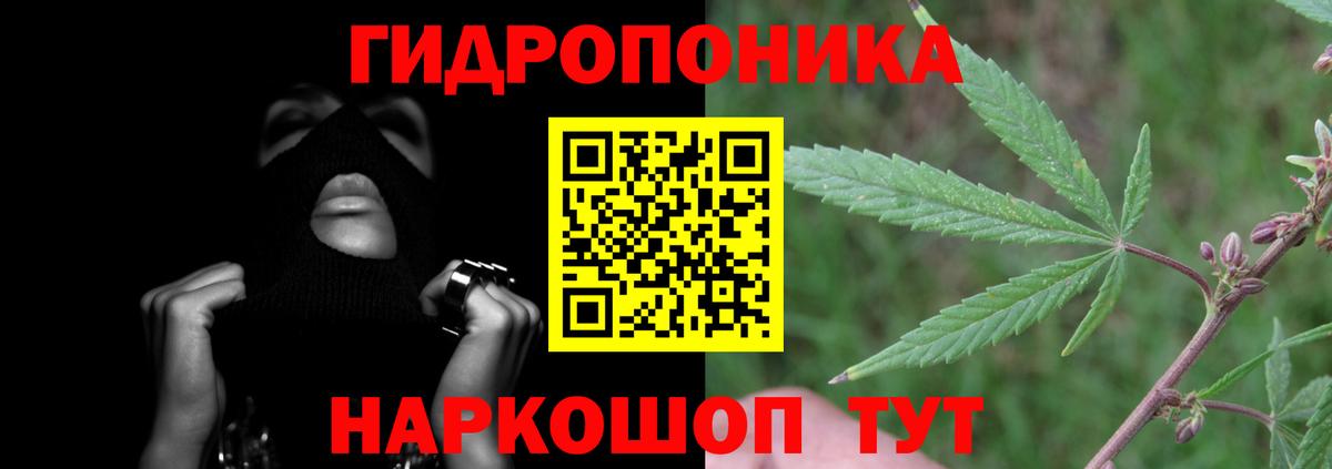 Каннабис AK-47 Ессентуки